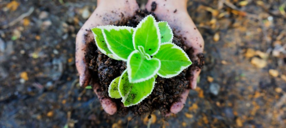 Environmental Policy Management