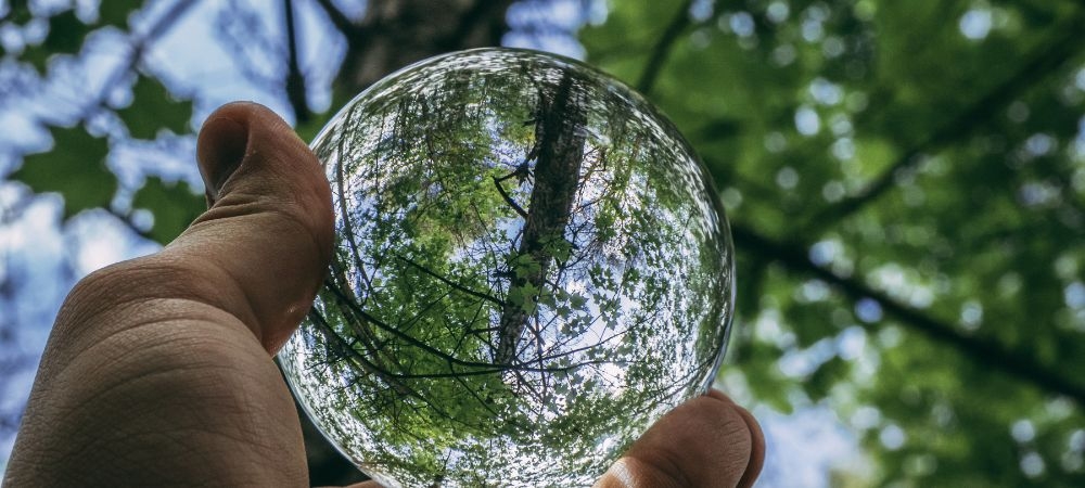 Nutrient Cycling
